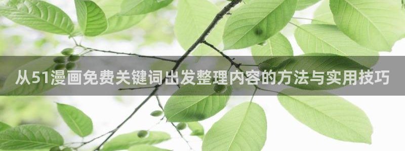 新新漫画漫画专题