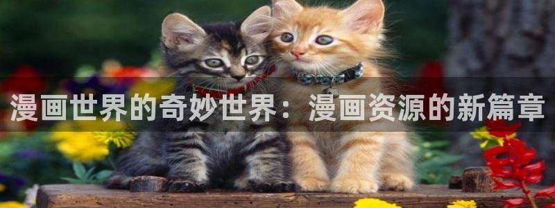 漫漫漫画高人气漫画